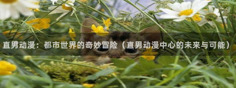 omofun下载方法：直男动漫：都市世界的奇妙冒险（直男动漫中心的未来与可能）