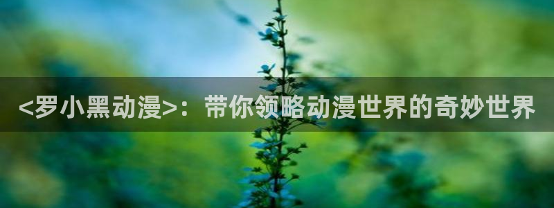 omofun吧：<罗小黑动漫>：带你领略动漫世界的奇妙世界