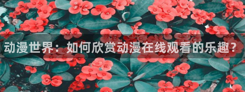 omofun 官网：动漫世界：如何欣赏动漫在线观看的乐趣？