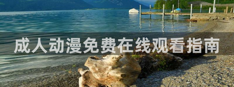 omofun官网网址：成人动漫免费在线观看指南