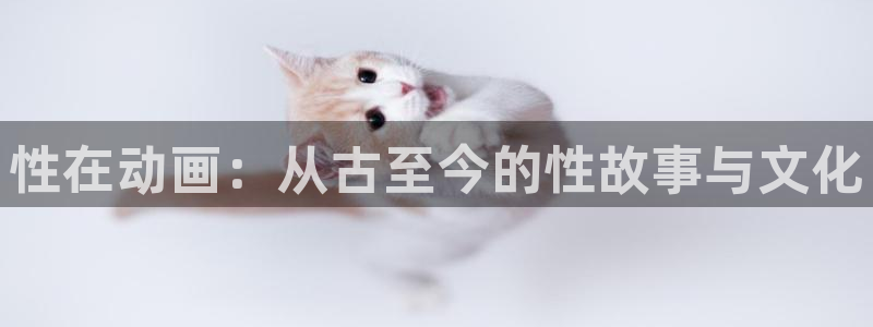 omofun官网链接：性在动画：从古至今的性故事与文化